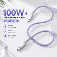Câble USB-C vers USB-C 1,2 m 100 W 5A PD à charge rapide, embout métallique, USB 2.0, tressé en nylon, cordon de données USB-C, OEM ODM, logo personnalisé