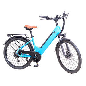 Vélo de loisirs électrique, 48V500W, sept vitesses, amortissement, frein à disque, feux avant et arrière, batterie au lithium - Product Image 4
