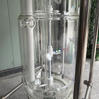Reactor Químico de Vidrio a Prueba de Explosiones de 50L con Agitador Helicoidal para Síntesis Orgánica