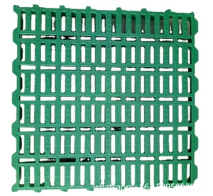 600*600mm cabra plástico listón piso oveja estiércol fuga rejilla estera aves estiércol evacuación tira tablero Placa de malla - Product Image 1