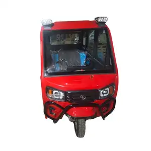 Factory Direct Sale Tuk Enclosed 2000W 4 Wheel Auto 2018 New Design Body Tricycle Chin Electric Trike for men use