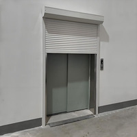 Porte de garage double automatique en acier inoxydable, fonction coupe-vent, porte de garage en acier fini
