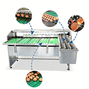 Electric High Quality Automatic Vegetable Grading <b>Machine</b>/ Goose Weight Sorting <b>Machine</b>/duck Size Selecting <b>Machine</b> 304 - Product Image 2