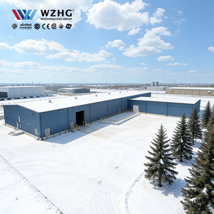 Almacén Prefabricado de Acero de Diseño Inteligente con Techo Transparente, Acero Q355B - Product Image 1