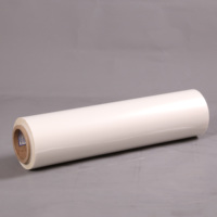 Rouleau de feuille de Mylar haute résistance à la température de 250 microns * 2750 mm pour les machines de pressage à chaud (bois)