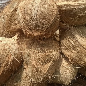 Noix de coco sèche en gros au Vietnam à bas prix - Product Image 1