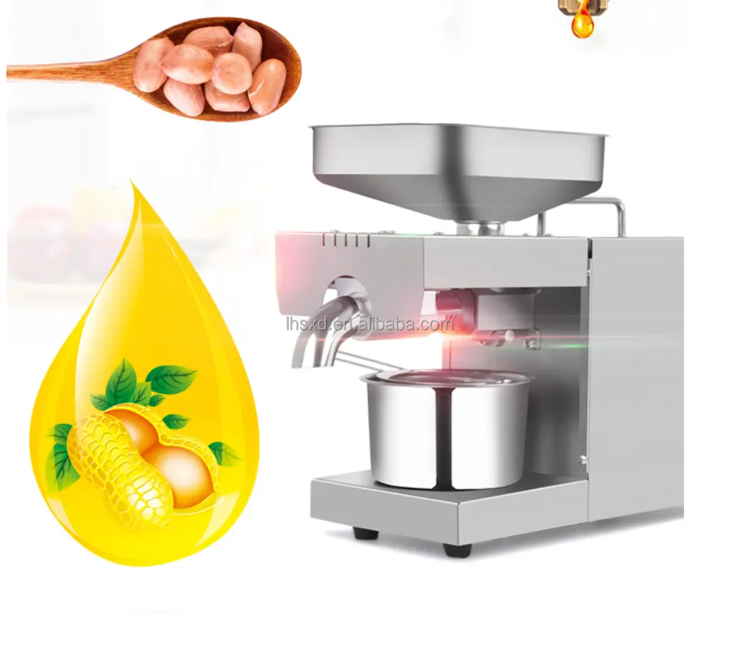 Small Automatic Olive Oil Extractor /Walnut Oil Press Machine / Cold Press Oil Machine for Home