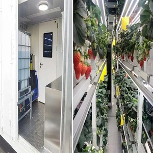 Contenedor de Cultivo Móvil, Agricultura Vertical con Riego Automático para Lechuga, Espinaca, Microvegetales y Varias Verduras de Hoja - Product Image 5