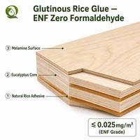 Contreplaqué mélaminé ignifuge 18 mm, âme en eucalyptus, CE CARB, 11 couches, étanche pour la construction hôtelière commerciale