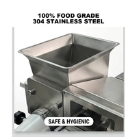 HANJUE Extrudeuse Compacte Multifonctionnelle en Acier Inoxydable SUS304 pour Fruits, Dattes, Biscuits et Barres Protéinées Commerciales