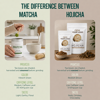 Poudre de thé vert torréfié Hojicha de qualité alimentaire, en vrac, OEM ODM pour desserts, glaces et ingrédients de boulangerie