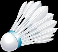 Accessoires de Badminton d'intérieur et d'extérieur, en plastique, blanc,