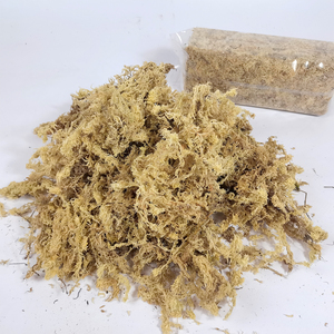 Musgo Sphagnum Estéril de Fibra Larga, Ecológico y Moderno para Proyectos de Manualidades, Modelismo, Detalles, Terrarios de Serpientes y Soporte para Plantas - Product Image 2