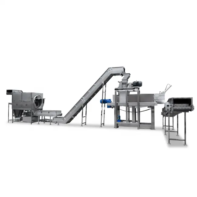 Citrus press juicer juicer extractor machine commercial grenadine juice extractor