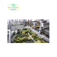 Ligne de lyophilisation automatique à haute capacité au prix d'usine pour les fruits de mer, les fruits, les légumes, pasteurisateur, mélangeur, échangeur de chaleur