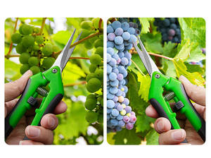 Cisailles de taille YTH, légères, pour la taille fine, la récolte, cisailles de taille pour le jardinage, cisailles et sécateurs de jardin - Product Image 2