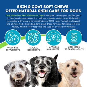 Friandises molles pour chiens, marque privée ODM/OEM, soulagement des allergies, soutien cutané, soutien immunitaire, santé des articulations, vitamines, minéraux, huile de poisson pour - Product Image 2