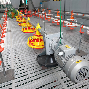 Tự động gia cầm trung chuyển cho gà thiết kế mới Gà Thịt Chảo chăn nuôi thiết bị Gà Gia cầm trang trại động vật feeders - Product Image 1