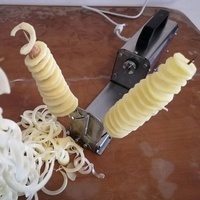Machine à spirales pour frites électriques automatiques en acier inoxydable avec support réglable, certification CE/ROHS, garantie 1 an