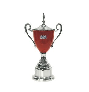 Trofeo chapado en oro rojo verde, premios, actividades de recuerdo, competición deportiva, premios de campeón, trofeo de Metal con orejas grandes dobles - Product Image 4