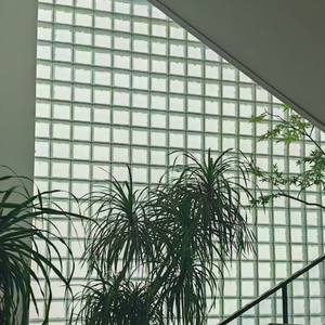 Padrão de gelo personalizado blocos de vidro sólido azulejos texturizados para Exterior & Partition Walls (Transparente Ind/Outdoor) - Product Image 4