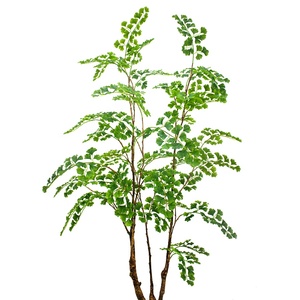 Arbre artificiel de <span class=keywords><strong>Ginkgo</strong></span> de 180 cm de haut, arbre de <span class=keywords><strong>Ginkgo</strong></span> <span class=keywords><strong>biloba</strong></span> réaliste pour la décoration intérieure de la maison et du bureau - Product Image 5