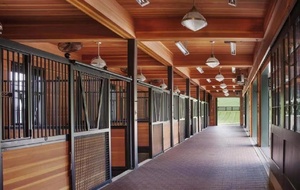 Vender 14ft luxuoso estilo europeu pré-fabricado cavalo clássico estável personalizado Popular estável deslizante porta frontal - Product Image 5