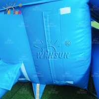 WINSUN Nouveau Design Toboggan Aquatique Gonflable Commercial Double Voie en PVC pour Adultes et Enfants, Thème Dauphin, pour Parc Aquatique et Centre Commercial