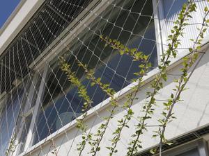 Rete di rete flessibile in acciaio inossidabile per ringhiere e recinzioni per uccelli adatte intrecciate in filo di acciaio inossidabile - Product Image 5