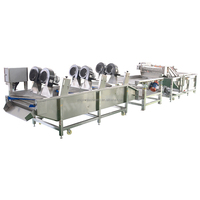 Industriële Waterbesparende Bladgroente Reiniger Machine Kersen Wassen Transportband Fruitverwerkingsfabriek