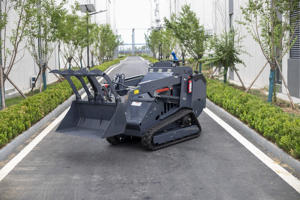 Yht750 Crawler Lader Schranklader | 0.3M Bakcapaciteit | Kubota Motor 18.4kw | 1 Jaar Garantie | Epa Euro V <span class=keywords><strong>Ce</strong></span> - Product Image 2