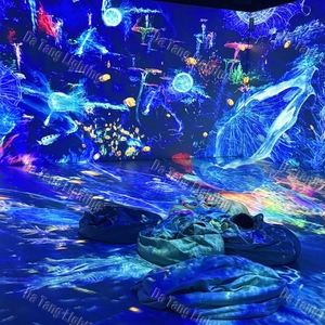 Système de projection mapping en intérieur pour les musées, les galeries, les centres scientifiques et les salles d'expérience immersive flexibles pour les visiteurs - Product Image 4