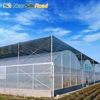 Serre Agricole Commerciale Multi-chapelles à Film Plastique, Cadre en Acier Galvanisé à Chaud, Taille Personnalisable, Prix Usine