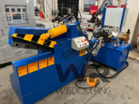 Cisaille hydraulique à crocodile pour acier, machine de découpe de ferraille type alligator de Wisdom Ring Machinery W-AS1000B