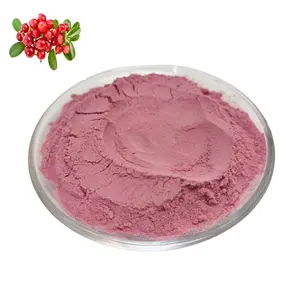 Estratto di frutta di mirtillo rosso biologico in polvere di succo di mirtillo rosso in polvere