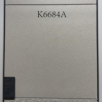 Carreaux de porcelaine antidérapants PEI4 Full-body R10 avec surface à grain sec, carreaux mats 600x600 pour cours, jardins et murs extérieurs