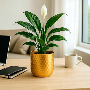 Pot de fleurs en métal doré martelé, rond et cylindrique, pour la décoration de bureau et les plantes vertes - Product Image 6