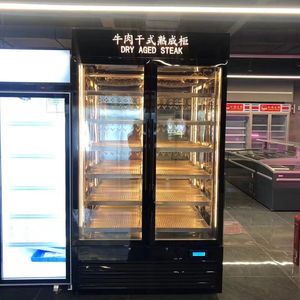 הנמכרים ביותר ציוד מסחרי גיל יבש מקרר גיל יבש בשר בקר סטייק נקניקיות מקרר - Product Image 3