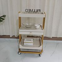 Chariot de Luxe Original Haut de Gamme, Taille L, pour Salon de Beauté et Gestion de Peau, avec Étagère de Rangement en Bois, Chariot à Outils en Métal et Plastique