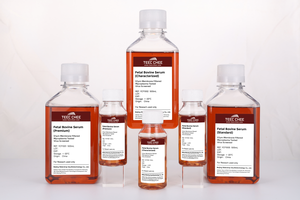 น้ำยาสำหรับเพาะเลี้ยงเซลล์แบบไม่มีไมโคพลาสมาและเอนโดท็อกซินน้อยกว่า 1% สำหรับเพาะเลี้ยงเซลล์ต้นกำเนิดจากน้ำเซรั่มทารกโค ได้รับการรับรองมาตรฐาน TEEC CHEE CE ผลิตในประเทศจีน - Product Image 2