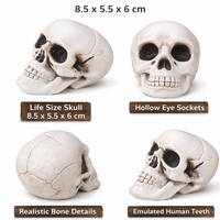 Crâne d'Halloween Réaliste en PVC, Tête de Squelette, Décoration Horreur pour Maison Hantée, Fête Gothique, Festival, Décoration Intérieure Réutilisable