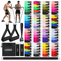Set de Bandas de Resistencia Elásticas de TPE Multiestilo, Tubos de Entrenamiento de Fuerza para Gimnasio en Casa, Ejercicio de Cuerpo Completo, Personalizable