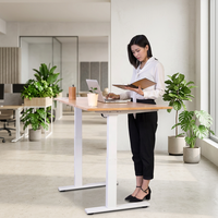 Table d'ordinateur en bambou de qualité supérieure, réglable en hauteur, bureau en bambou massif, bureau debout Ecomax
