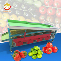 ORME Tomaten Ui Citrusvruchten Sorteermachine Dadelpalm Blauwe Bes Sorteermachine Dadelpreinigings- en Sorteermachine