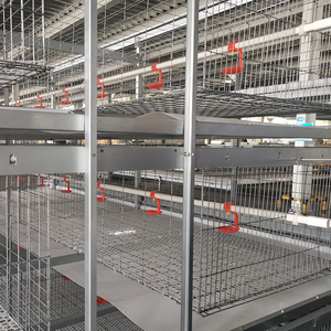 Broiler için otomatik Broiler kafes sistemi uzay tasarrufu kanatlı çiftlik yapı kafes sistemi - Product Image 4