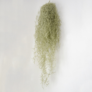 Yizhuoou — plantes artificielles à l'air, illandsie pour la décoration - Product Image 6