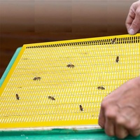 10 Stück Imkerei-Werkzeuge aus weißem/gelbem Kunststoff für italienische Bienen. Die Waben-Trennwand hat 10 Rahmen und kann geschnitten werden