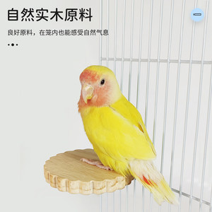 Perchoir pour oiseaux en bois rond, petit, durable, fournitures pour oiseaux d'intérieur - Product Image 2