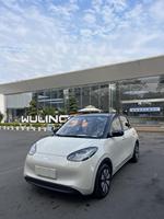 Nouvelle Version 2026 Wuling Binguo 204km Mini Voiture Électrique Adulte Volant à Gauche 5 Portes 4 Places