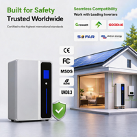 Système de stockage d'énergie domestique mural CAN, batterie au lithium LiFePO4 100Ah intelligente avancée pour usage domestique et solaire